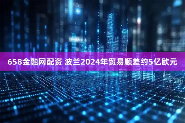 658金融网配资 波兰2024年贸易顺差约5亿欧元