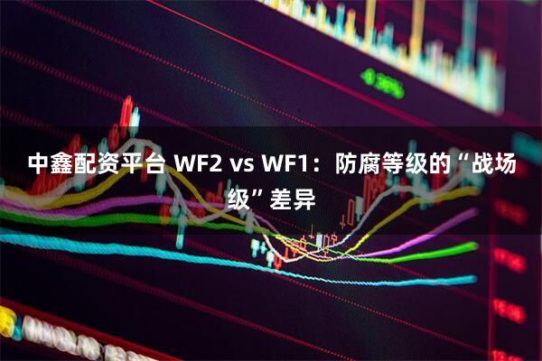 中鑫配资平台 WF2 vs WF1：防腐等级的“战场级”差异