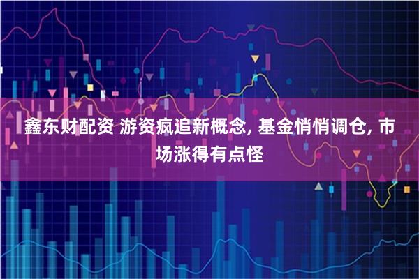 鑫东财配资 游资疯追新概念, 基金悄悄调仓, 市场涨得有点怪