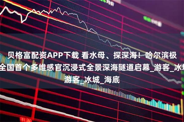 贝格富配资APP下载 看水母、探深海！哈尔滨极地公园全国首个多维感官沉浸式全景深海隧道启幕_游客_冰城_海底