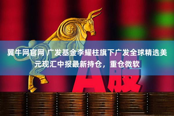 翼牛网官网 广发基金李耀柱旗下广发全球精选美元现汇中报最新持仓，重仓微软