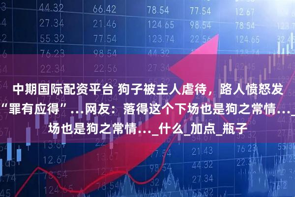 中期国际配资平台 狗子被主人虐待，路人愤怒发声，却发现狗子“罪有应得”…网友：落得这个下场也是狗之常情…_什么_加点_瓶子