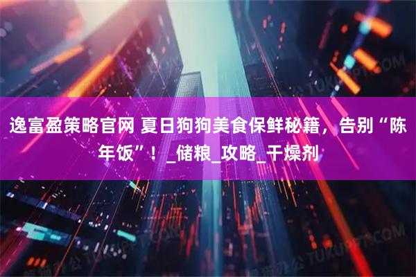 逸富盈策略官网 夏日狗狗美食保鲜秘籍，告别“陈年饭”！_储粮_攻略_干燥剂